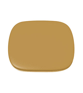 BLK-ICO-339 - Hinged Mint Tin