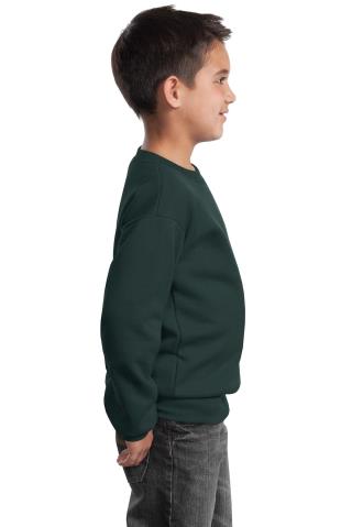 Youth Crewneck Sweatshirt